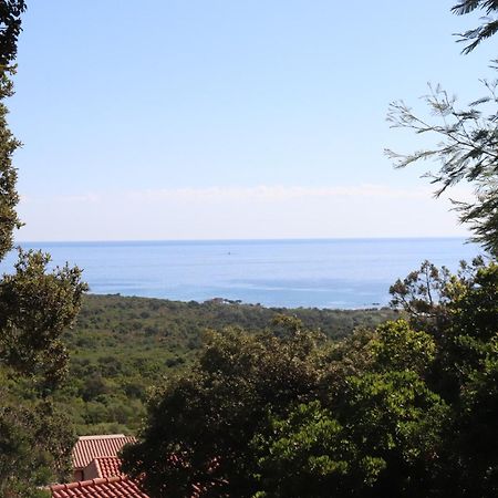 Residence U Pirellu Porto-Vecchio  Buitenkant foto
