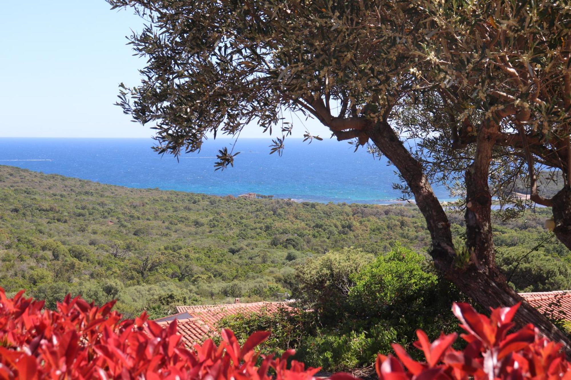 Residence U Pirellu Porto-Vecchio  Buitenkant foto